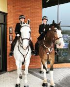 230704 force awards horses